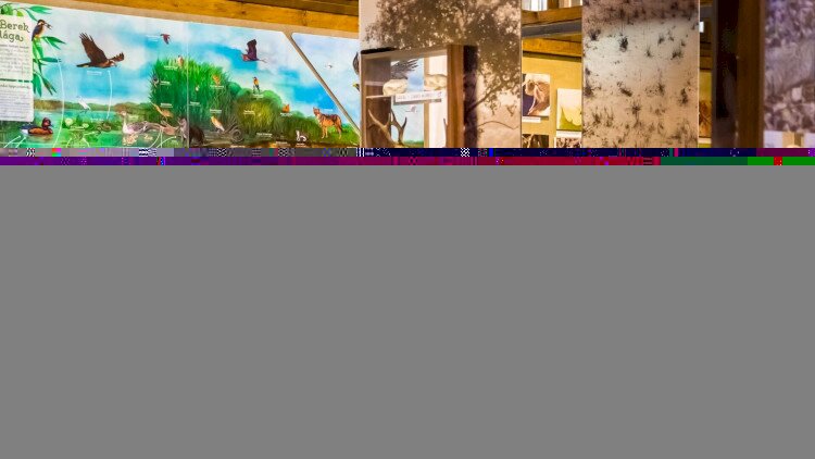 Magyar Nemzeti Parkok Hete alkalmából – Berek Világa Látogatóközpont kedvezményes látogatása 2026-06-10