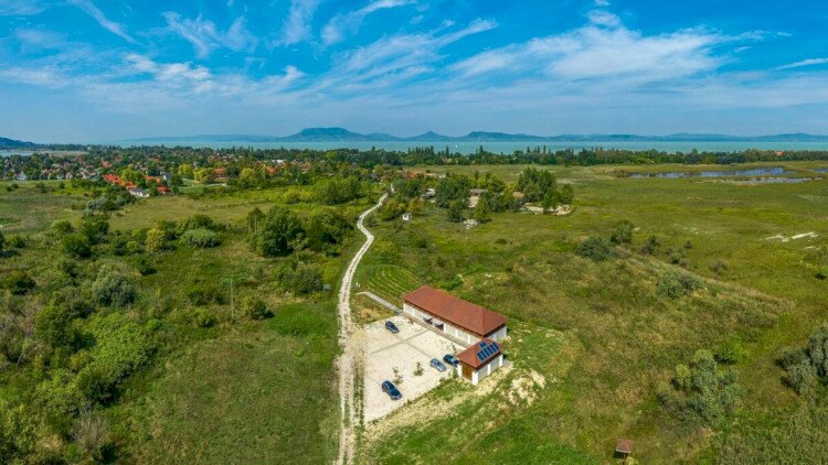 Tojáskeresés az Ordacsehi-berekben 2026-04-04