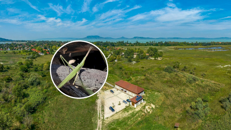 Magyar Természet Napja - Nyílt nap a Berek Világa Látogatóközpontban