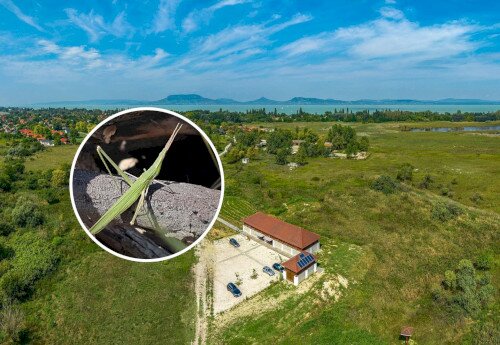 Magyar Természet Napja - Nyílt nap a Berek Világa Látogatóközpontban