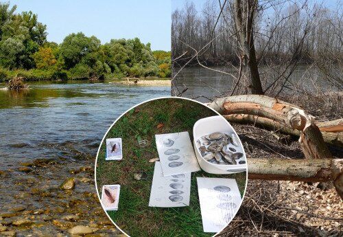 Bioszféra-rezervátum Nap - Túra a Mura-mentén