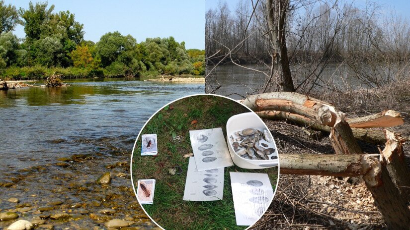 slidebg4 Bioszféra-rezervátum Nap - túra és játék