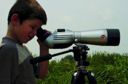 Birdwatching