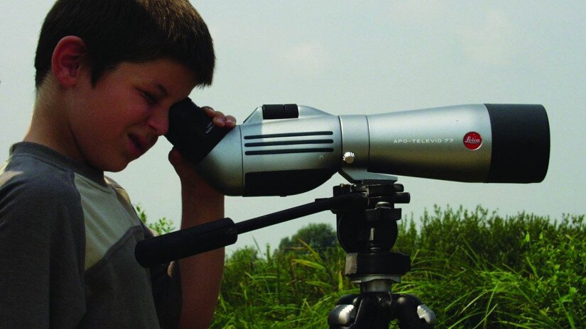 Birdwatching