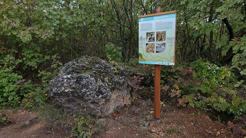 Borsóköves kúp