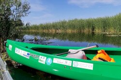 Canoeing at Kis-Balaton