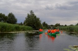 Canoeing at Kis-Balaton