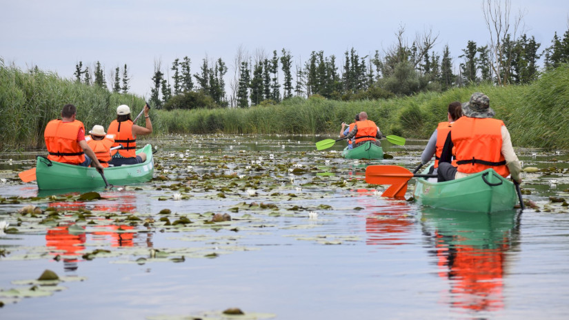 Canoeing at Kis-Balaton