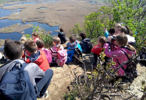 Complete events for kids (preschool, school)