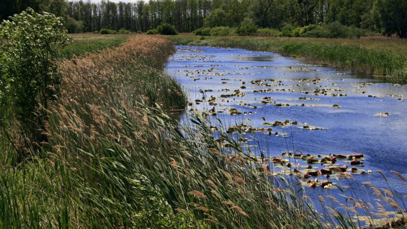 Csatorna, Kis-Balaton