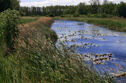 Csatorna, Kis-Balaton