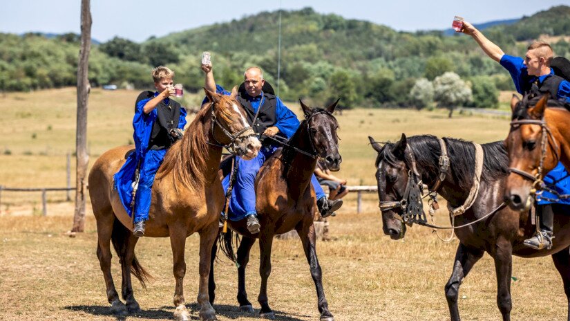 Csikós bemutató a Salföldi Majorban