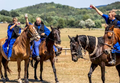 Csikós bemutató a Salföldi Majorban