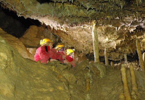 Magyar Nemzeti Parkok Hete és Európai Geoparkok Hete alkalmából – Kedvezményes látogatás a Csodabogyós-barlangban 2023-06-04