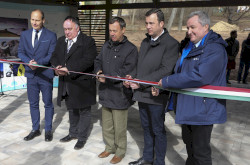 csopak_szalagatvagas.jpg