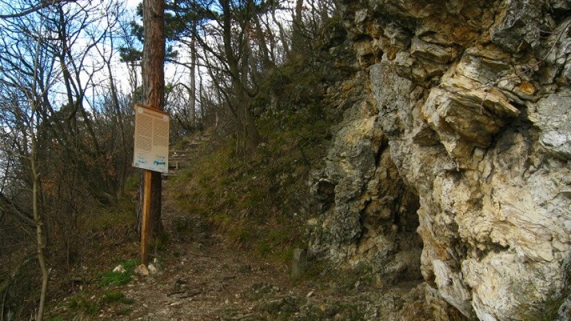 Csúcs-hegyi-forrásbg.jpg