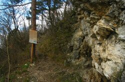 Csúcs-hegyi-forrásbg.jpg