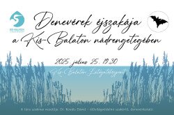 Denevérek éjszakája a Kis-Balaton nádrengetegében