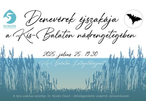 Denevérek éjszakája a Kis-Balaton nádrengetegében