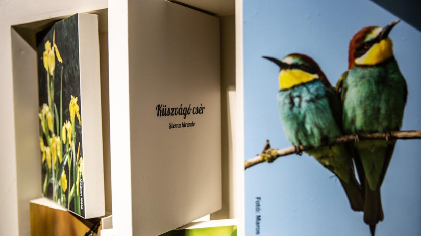 Diás Insel, Ausstellung