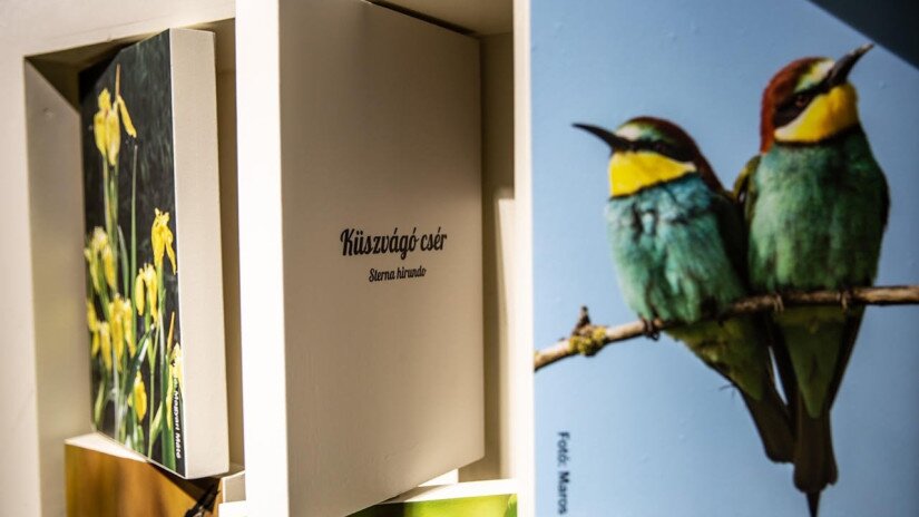 Diás Insel, Ausstellung