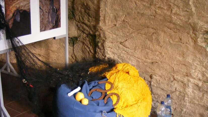 DSCF0270_1920.jpg
