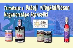 Dubaji Világkiállítás, Tamás Pince