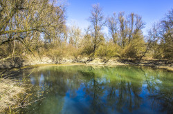 Duna-Dráva Nemzeti Park