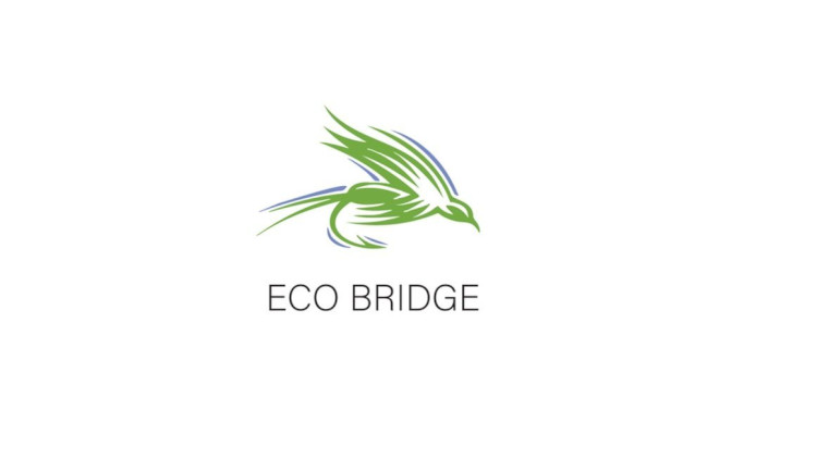 Eco Bridge