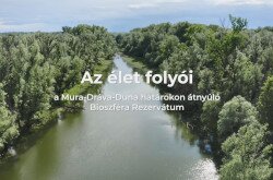 elet_folyoi_coopmdd.jpg