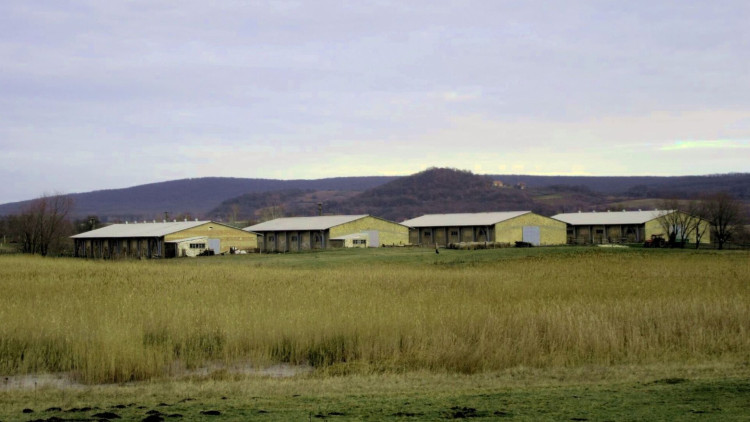 Élőhely-specifikus természetvédelmi kezelési infrastruktúra kialakítása a Tapolcai- és a Káli-medence nemzeti parki vagyonkezelésben lévő védett és NATURA2000 területein