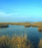 KEHOP-4.1.0-15-2016-00026 Élőhely-védelem, és helyreállítás a Kis-Balaton medence és a Nyugat-Külső-Somogy kistájakon