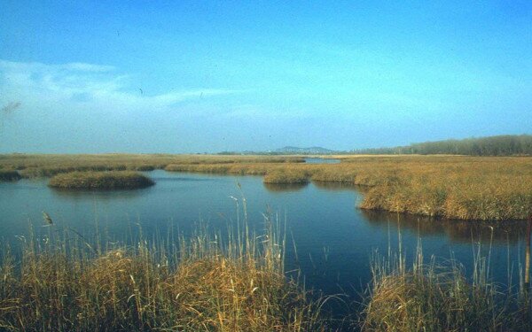 KEHOP-4.1.0-15-2016-00026 Élőhely-védelem, és helyreállítás a Kis-Balaton medence és a Nyugat-Külső-Somogy kistájakon