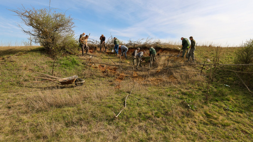 Élőhelykezelés a gyurgyalagokért (Hajmáskér)