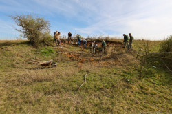 Élőhelykezelés a gyurgyalagokért (Hajmáskér)