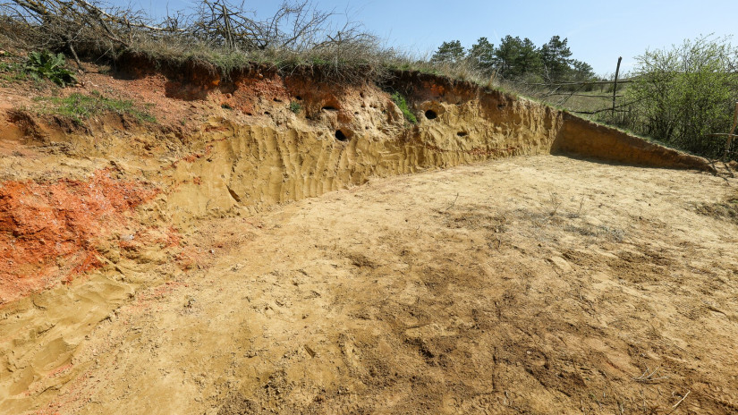 Élőhelykezelés a gyurgyalagokért (Hajmáskér)