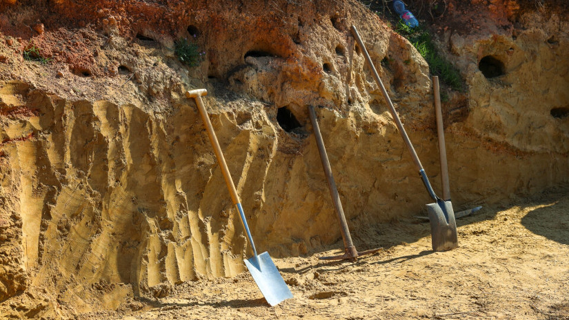 Élőhelykezelés a gyurgyalagokért (Hajmáskér)