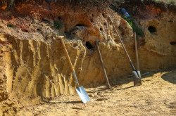 Élőhelykezelés a gyurgyalagokért (Hajmáskér)