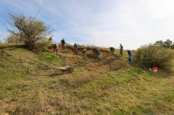 Élőhelykezelés a gyurgyalagokért (Hajmáskér)