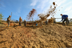 Élőhelykezelés a gyurgyalagokért (Hajmáskér)