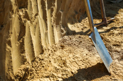 Élőhelykezelés a gyurgyalagokért (Hajmáskér)