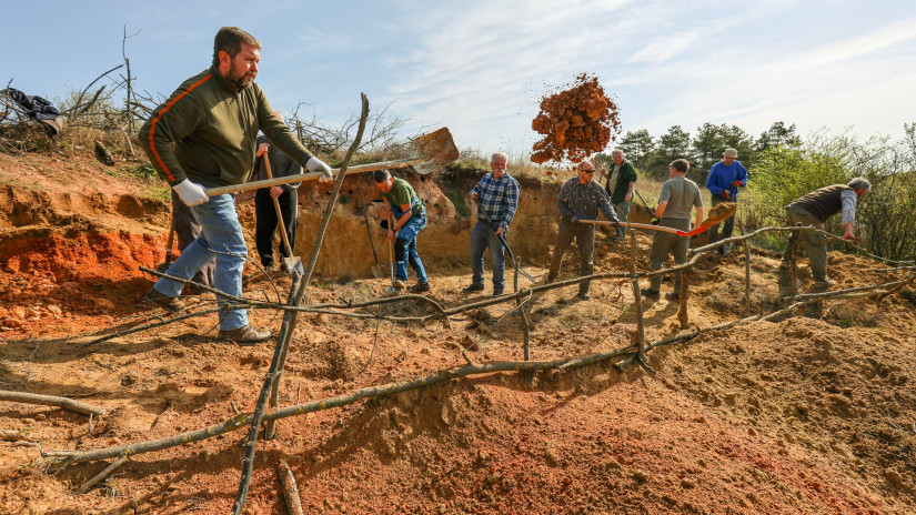Élőhelykezelés a gyurgyalagokért (Hajmáskér)