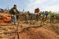 Élőhelykezelés a gyurgyalagokért (Hajmáskér)