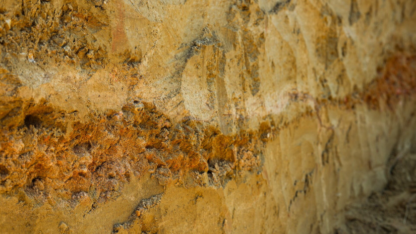 Élőhelykezelés a gyurgyalagokért (Hajmáskér)