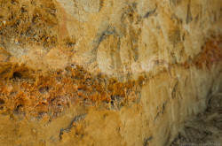 Élőhelykezelés a gyurgyalagokért (Hajmáskér)