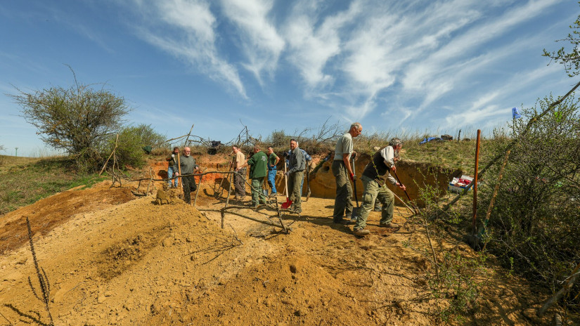Élőhelykezelés a gyurgyalagokért (Hajmáskér)