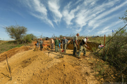 Élőhelykezelés a gyurgyalagokért (Hajmáskér)