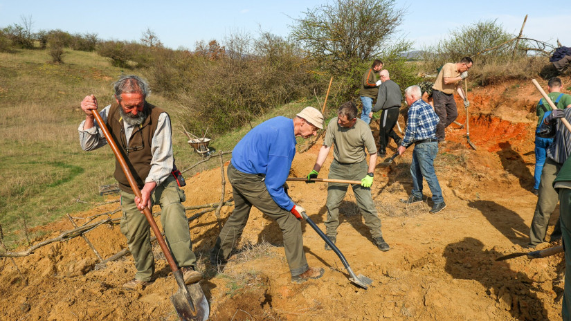 Élőhelykezelés a gyurgyalagokért (Hajmáskér)