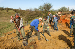 Élőhelykezelés a gyurgyalagokért (Hajmáskér)