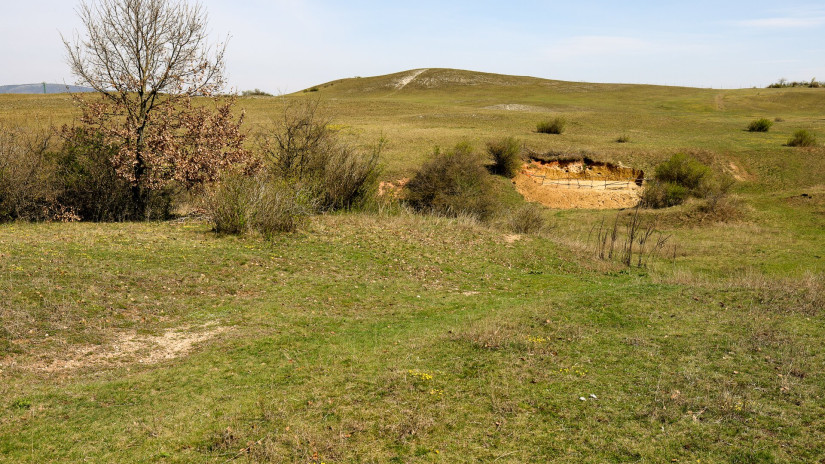 Élőhelykezelés a gyurgyalagokért (Hajmáskér)